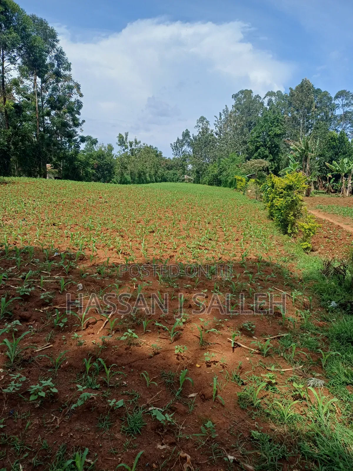 1acre Transfer Matungu.