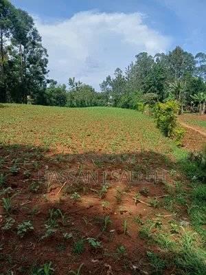 1acre Transfer Matungu.