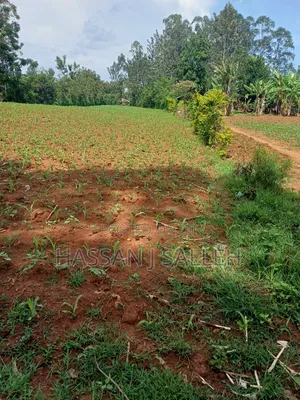 1acre Transfer Matungu.