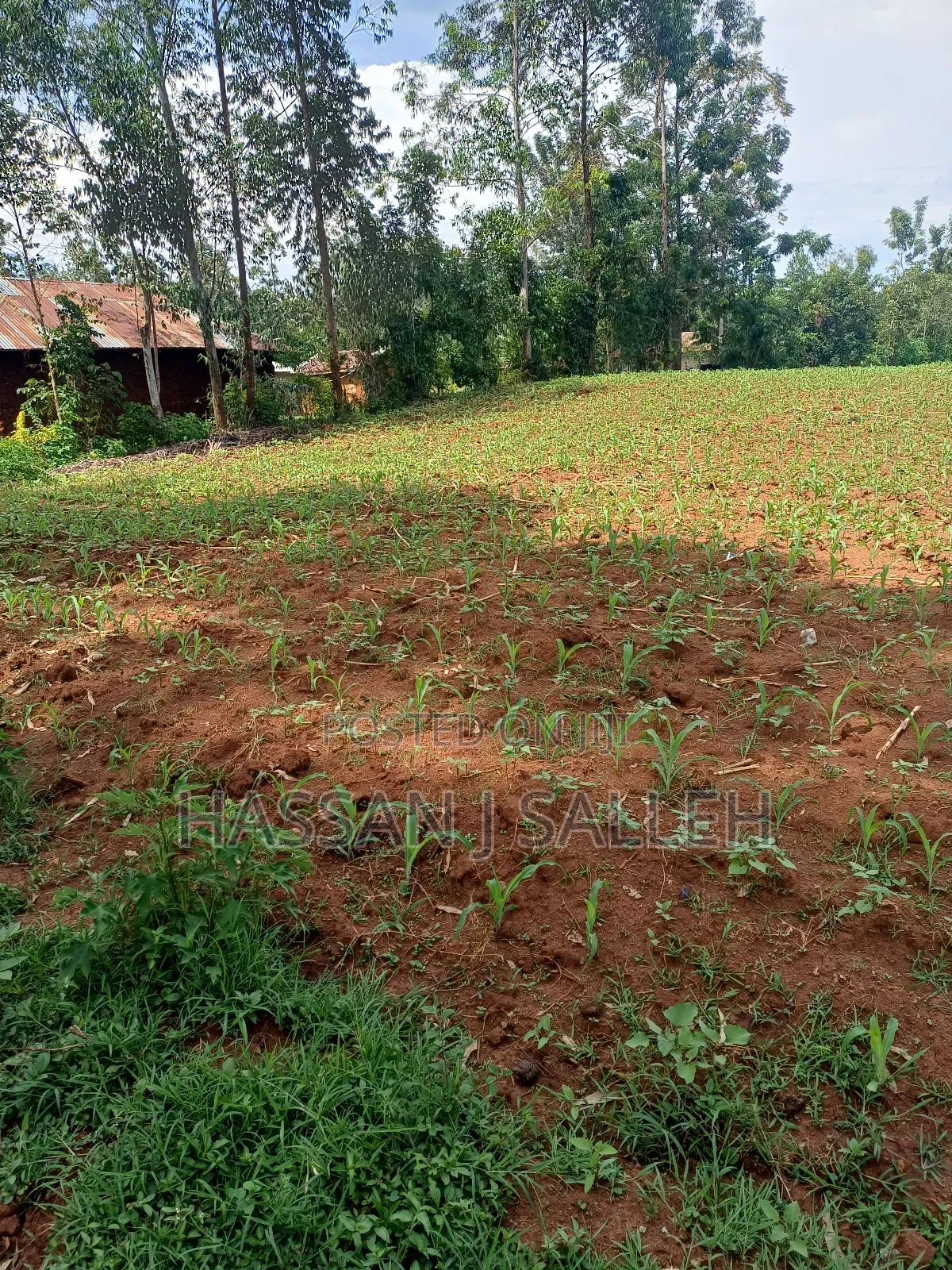 1acre Transfer Matungu.