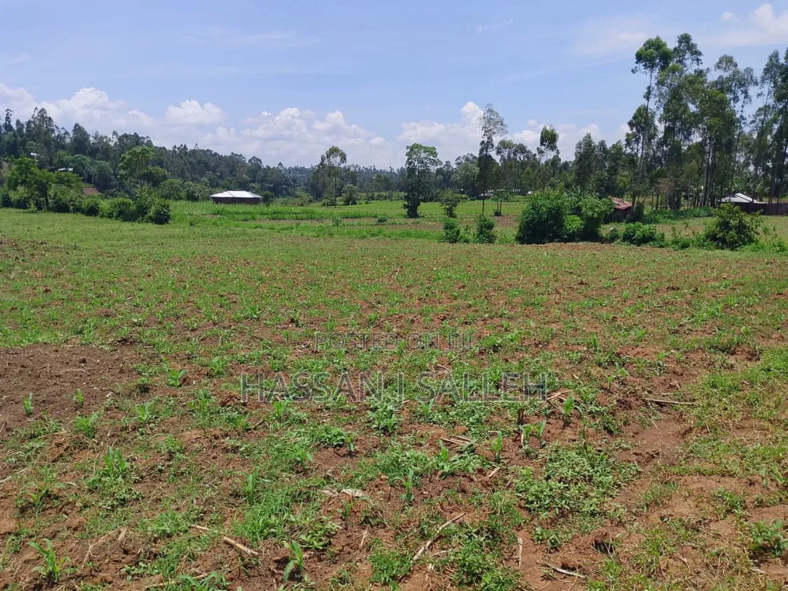 1acre Transfer Matungu.