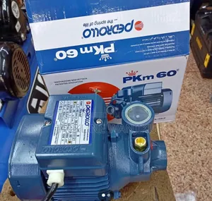 Quality Pedrollo Water Pump 0.5hp/Pedrollo Water Pump PKM 60
