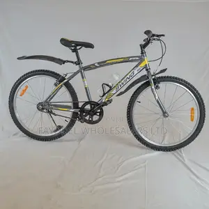 Swing Bike Size 24 — Built for Teens Who Need Durability