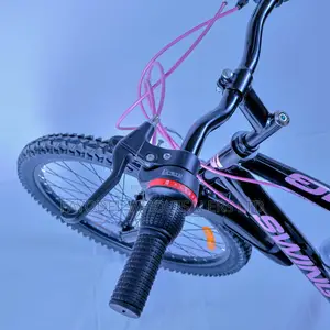 Swing Bike Size 24 Without Gears