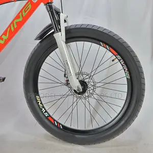 Swing Fatbike MTB Size 24