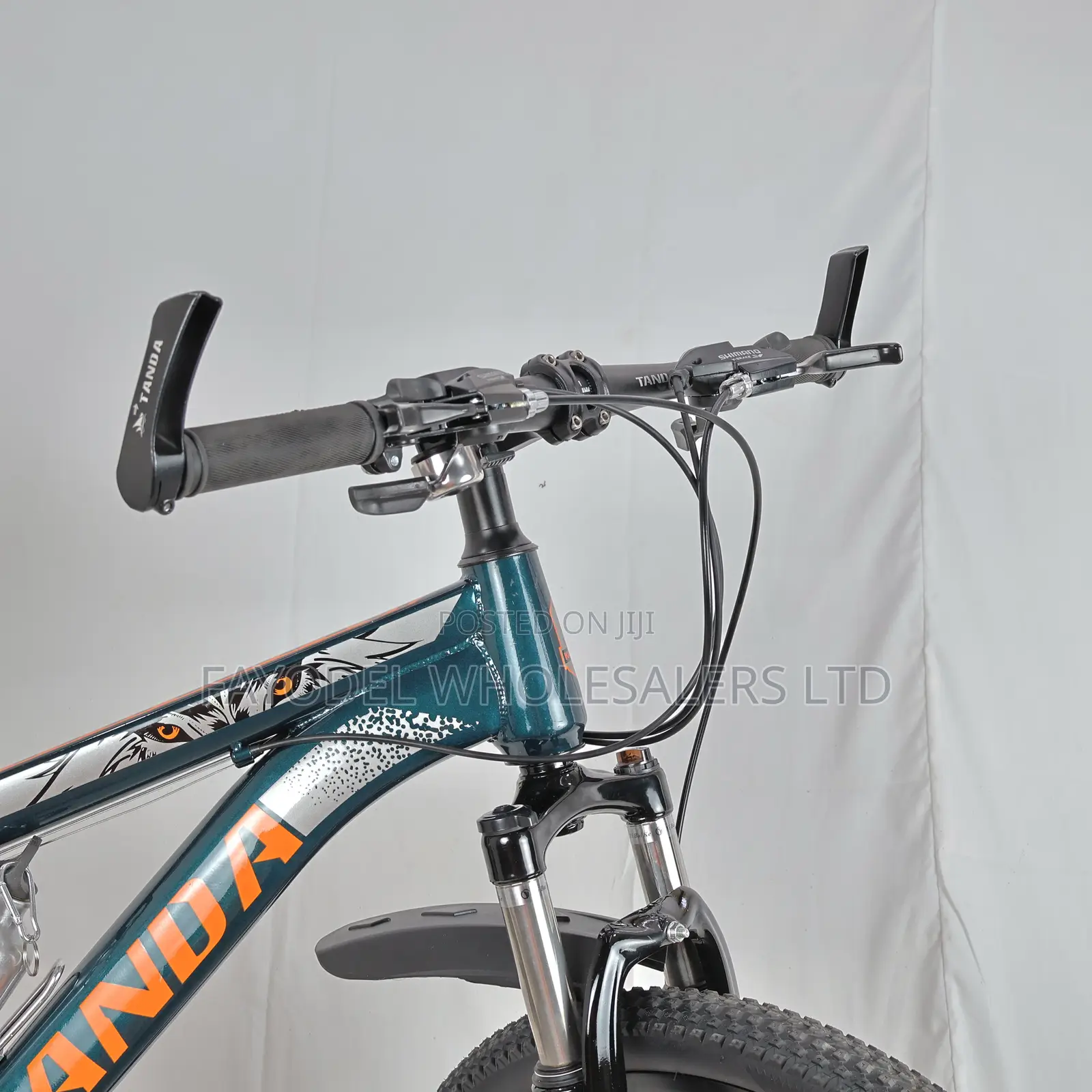 24 Speed Tanda Mountain Bike for Teens