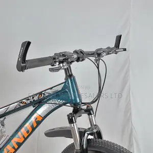 24 Speed Tanda Mountain Bike for Teens