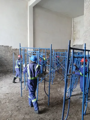 High Accest Tower Scaffolding Ladder
