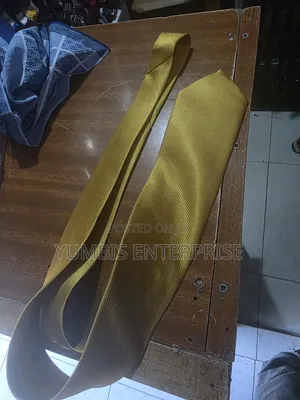 Gold Mens Neck Ties at 400