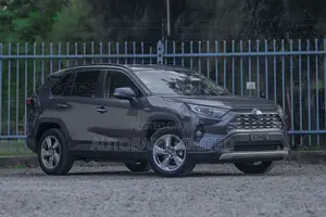 Toyota RAV4 Hybrid 2019 Gray