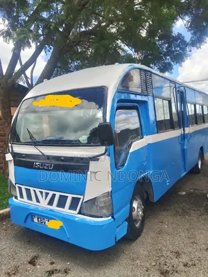 Isuzu NQR 2010 Blue