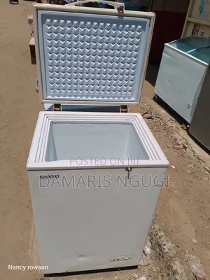 Sanyo White Deep Freezer
