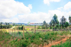 Kikuyu Plots For