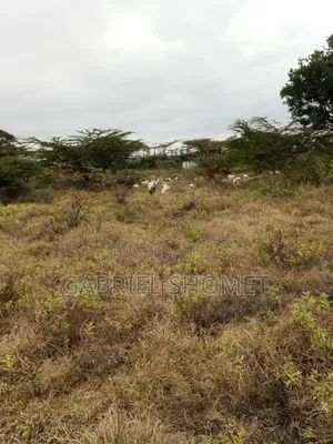 Land for Sell