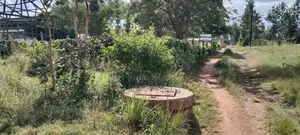 Kenol Prime Plot
