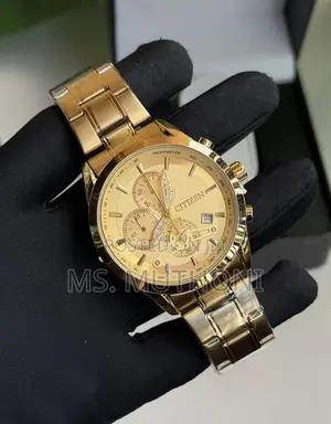 Classic Tachymeter Bezel Citizen Chronograph Gents Wristwatch