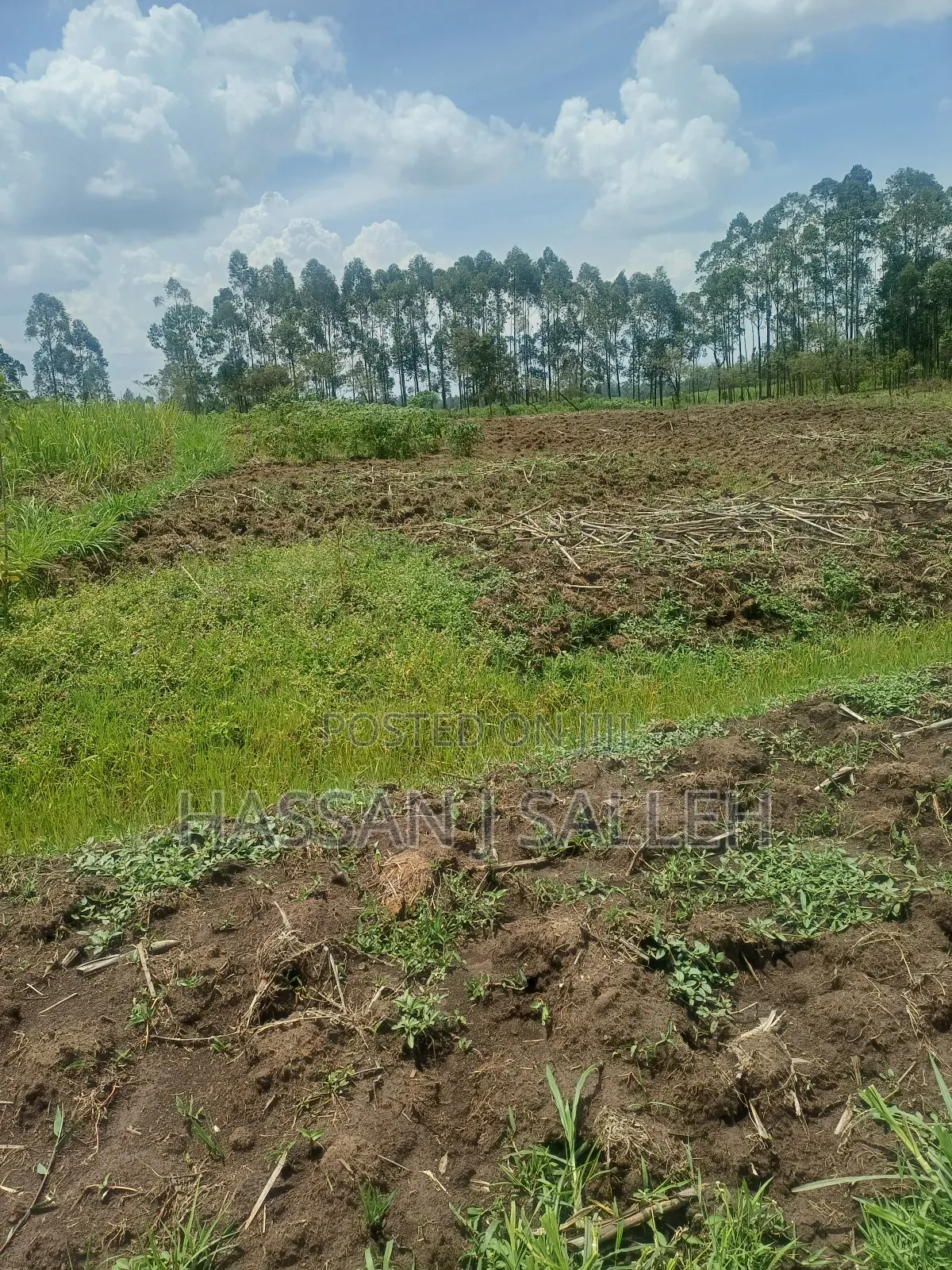 1/2acre Land Matungu