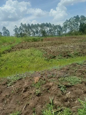 1/2acre Land Matungu