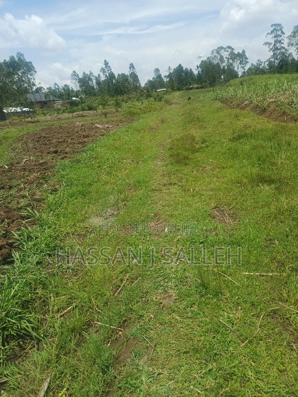 1/2acre Land Matungu