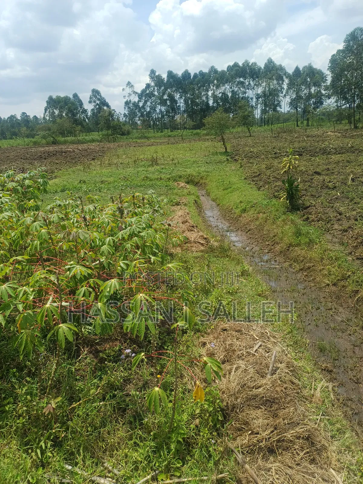 1/2acre Land Matungu