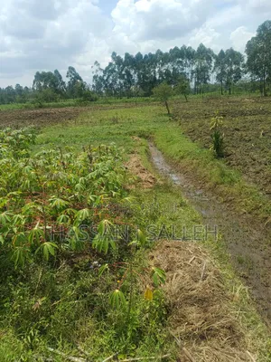 1/2acre Land Matungu