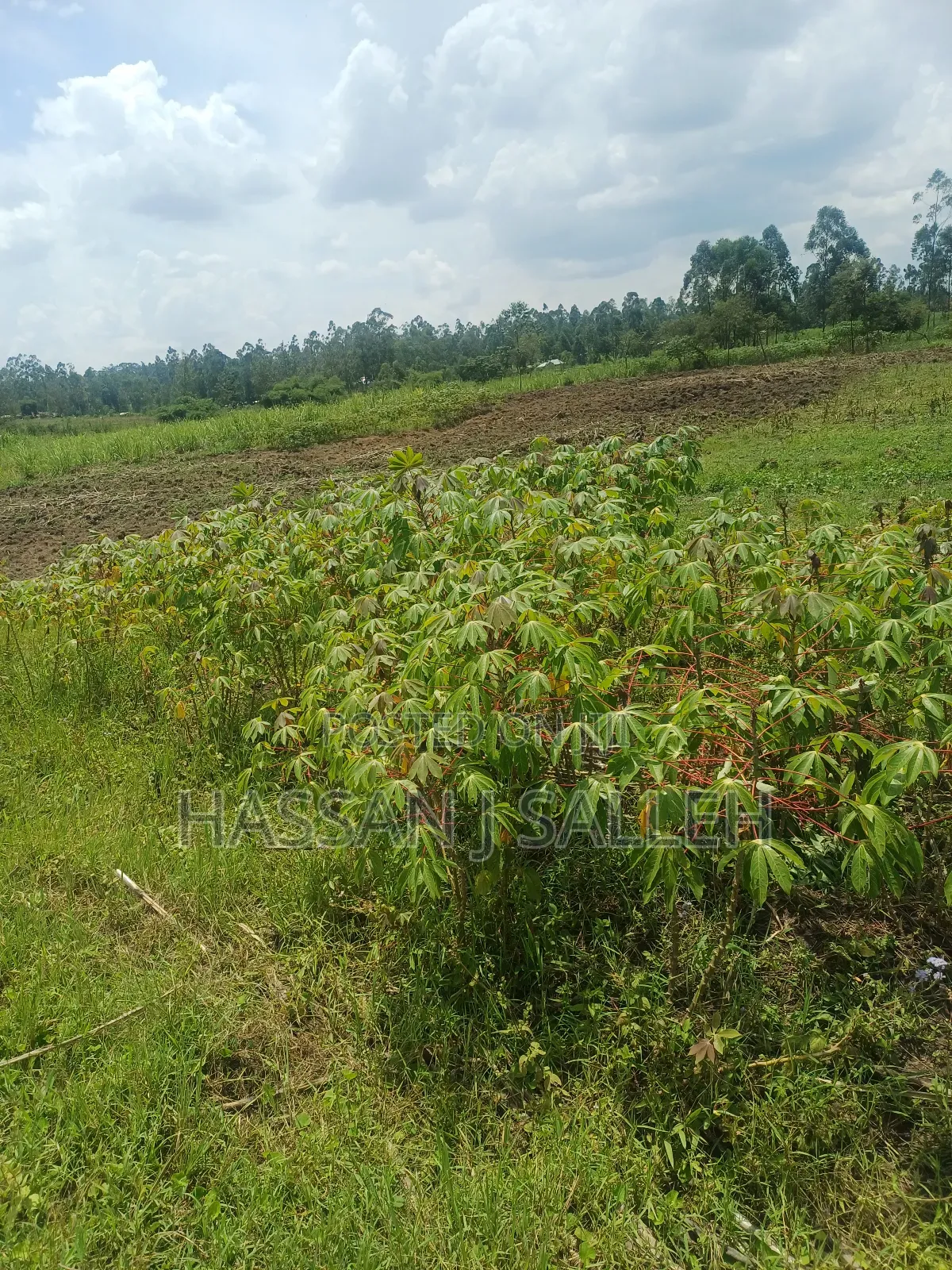 1/2acre Land Matungu