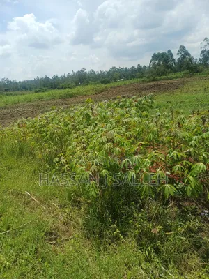 1/2acre Land Matungu