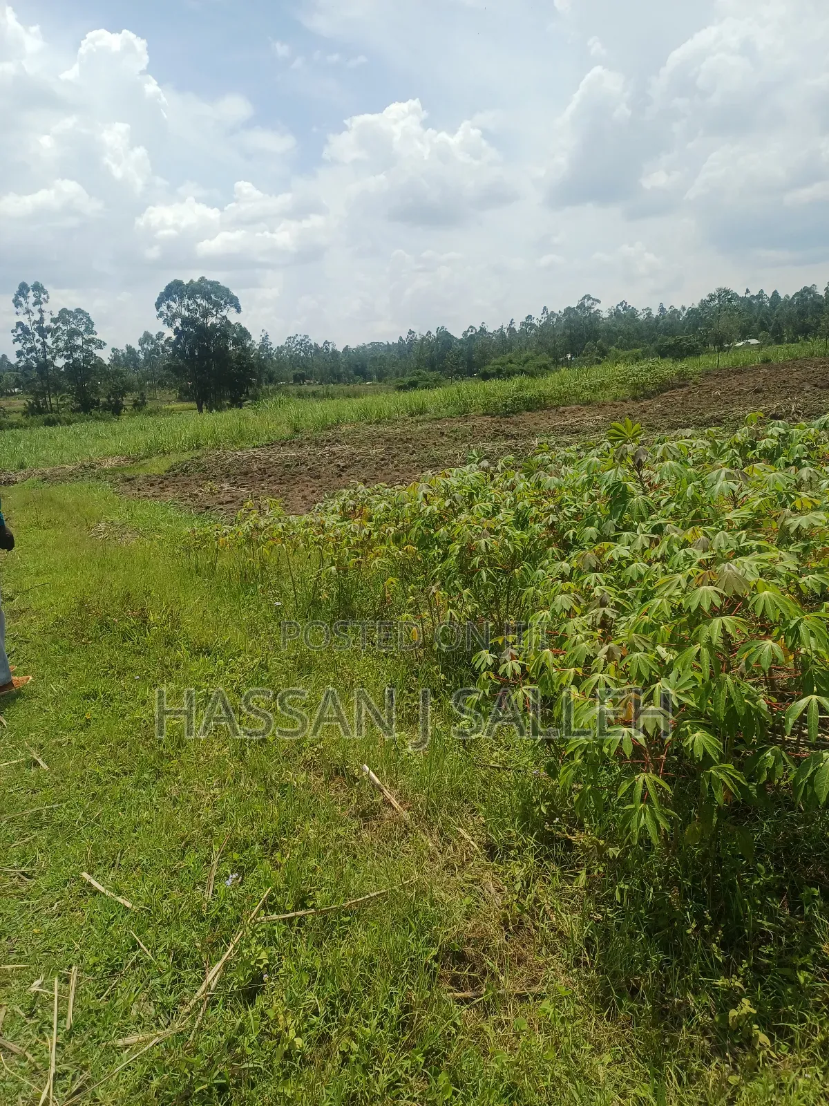 1/2acre Land Matungu