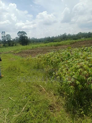 1/2acre Land Matungu