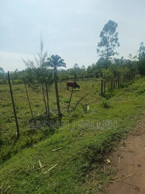 1 Acre Lureko Mumias.
