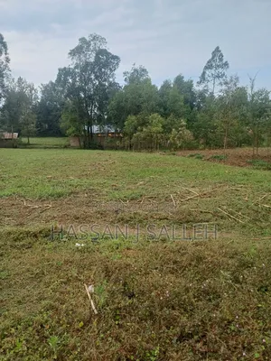 2 Plots 4 Sale Mumias Town.