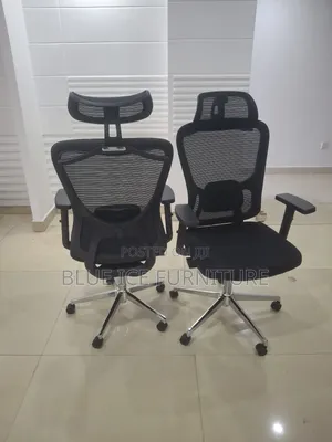 Imported Executive Office Chair