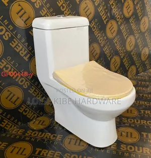 Kids Toilet Available