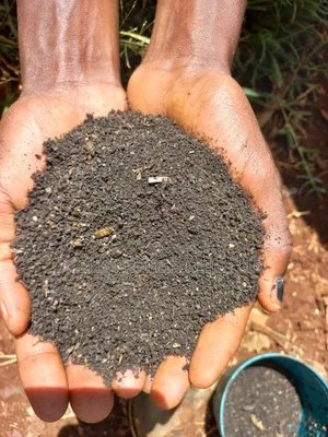 Organic Fertilizer (Frassplus)