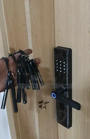 Tuya Wifi Finger Print Electric Smart Digit Lock With
