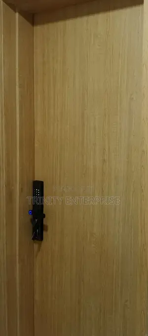 Biometric Finger Password Tuya Wifi Control Samrt Door Lock