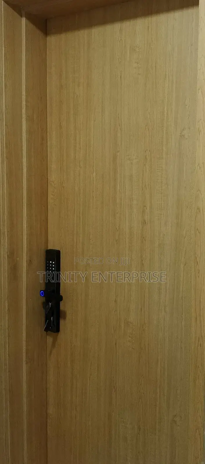Biometric Finger Password Tuya Wifi Control Samrt Door Lock