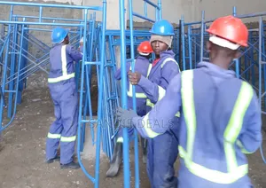 Rust Resistance Scaffolding Ladders