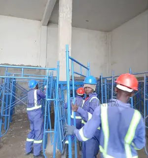 Bland New Scaffolding