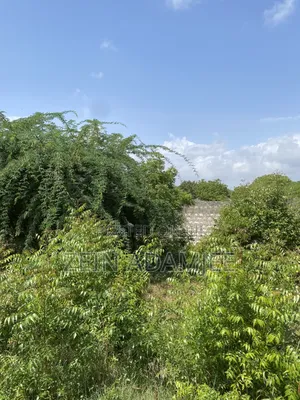 Half Acre for Sale Kibokoni Malindi