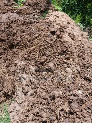 Cow Dung Manure Available