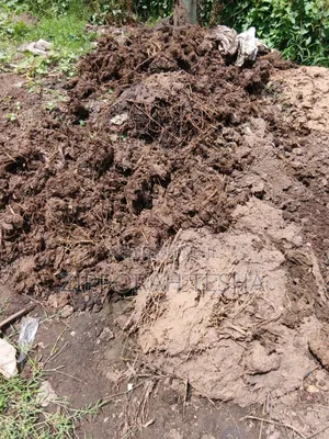 Cow Dung Manure Available