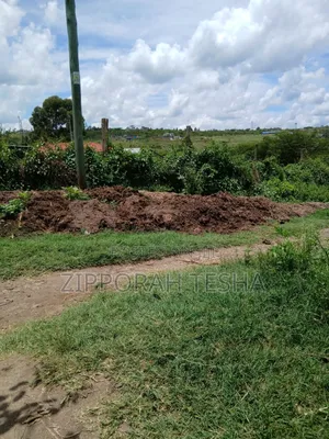 Cow Dung Manure Available