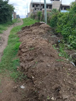 Cow Dung Manure Available