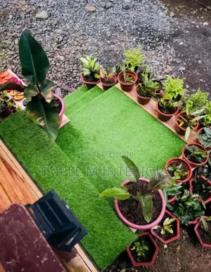 Backdoor Staircase ,Radiant Green Artificial Grass Carpet