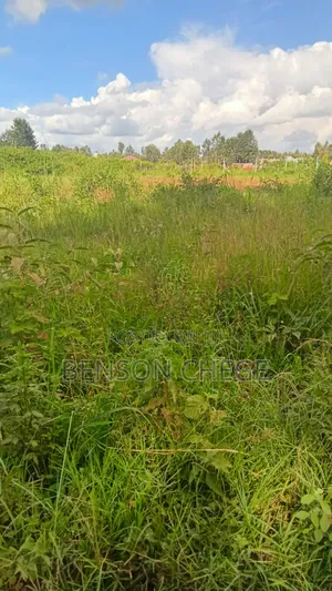 Half an Acre for Sale at Mbombo