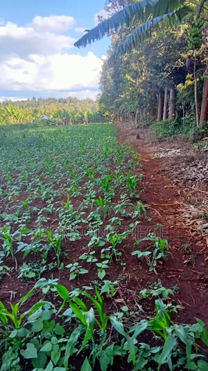 1acreland for Sale at Ikundu Maragua