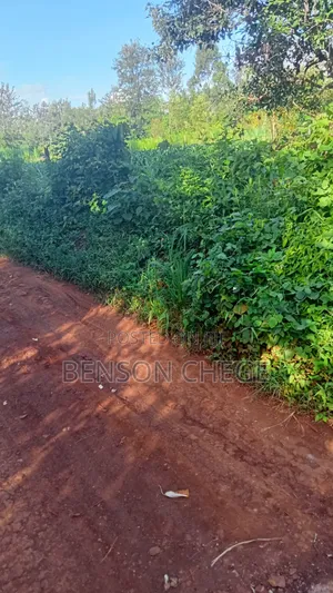 1.5acre for Sale at Maragua Gakoigo