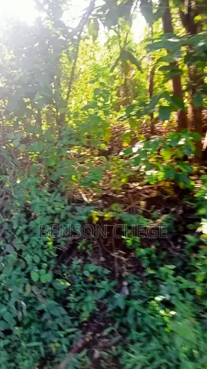 1.5acre for Sale at Maragua Gakoigo