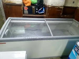 White Display Freezer